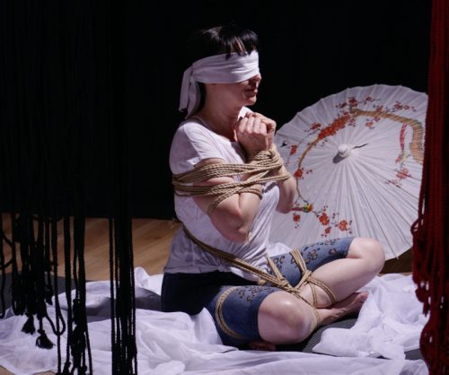 Shibari Schnupperabend (für alle)